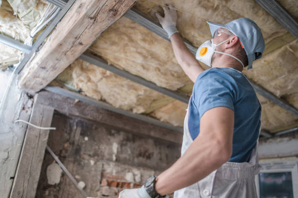 Best Types of Insulation in Gaston, SC